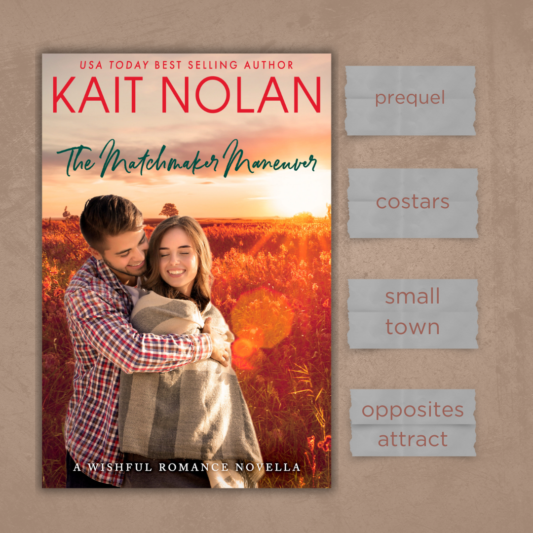 Wishful Romance 3.5: The Matchmaker Maneuver AUDIO